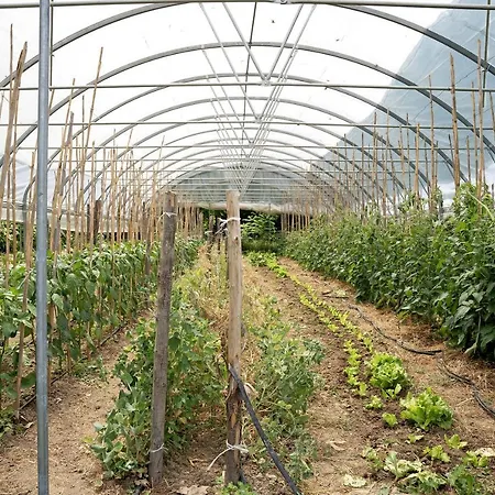 Il Giardino Di San Martino