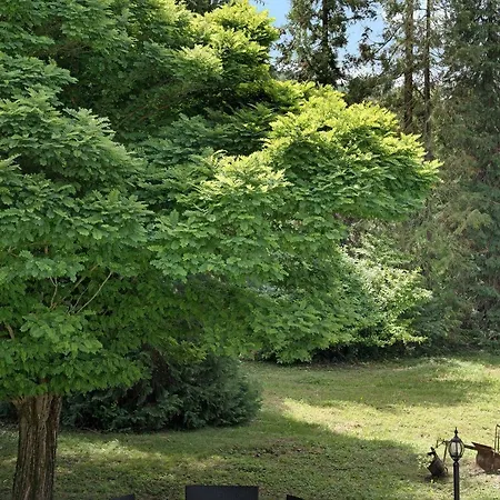 Il Giardino Di San Martino Appartamento *